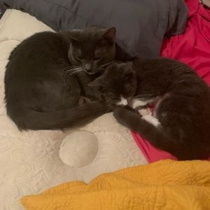 Meet your Posher, Elizabeth